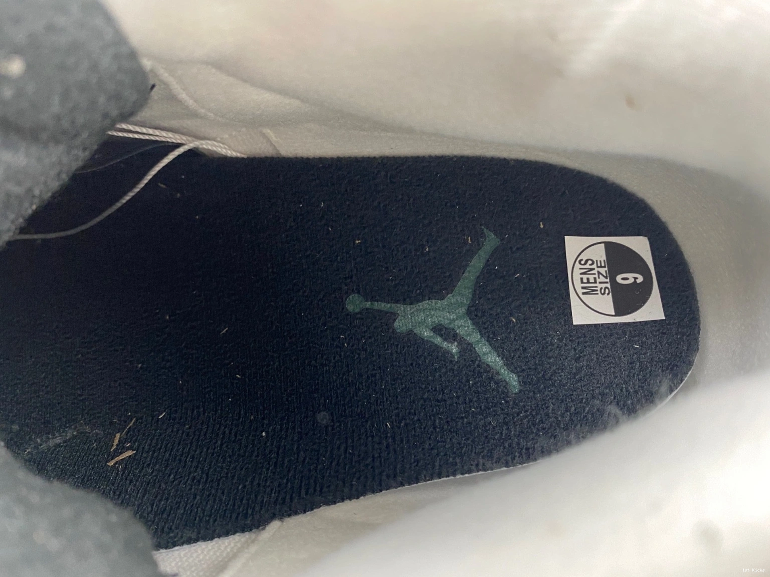  Pit Oregon 594282233 Jordan 3 Retro Ducks Crew White 0309